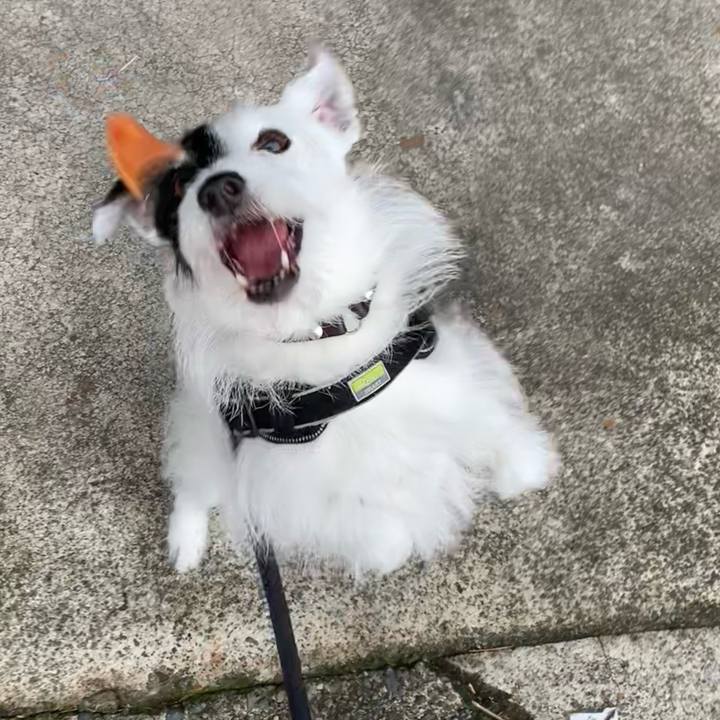 D29ea4ea 2237 4cbc 9b06 ee1c2ba149a0 1751411040735