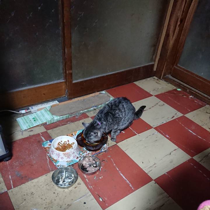 D29eae69 7a9e 472f 97e4 f9225c80a738 1580417782781