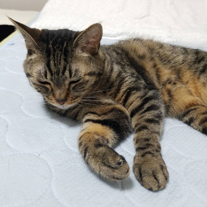 D29ed0af 67a9 4e0b af6f c8c10908ba6e 1561411841890