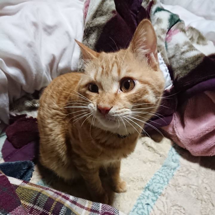 D29ee284 3b2c 4c81 8e91 d69d03e20051 1642196541052