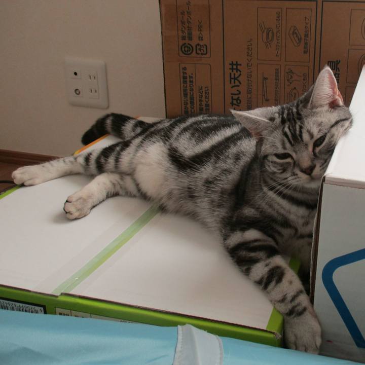 D29efff7 1c65 484e 8308 f6b2ff2ab503 1547555668417