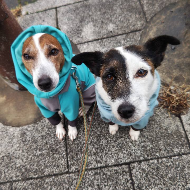 D29f276c 7aa2 41f7 af6f 2d5aabef7f66 1742340905639