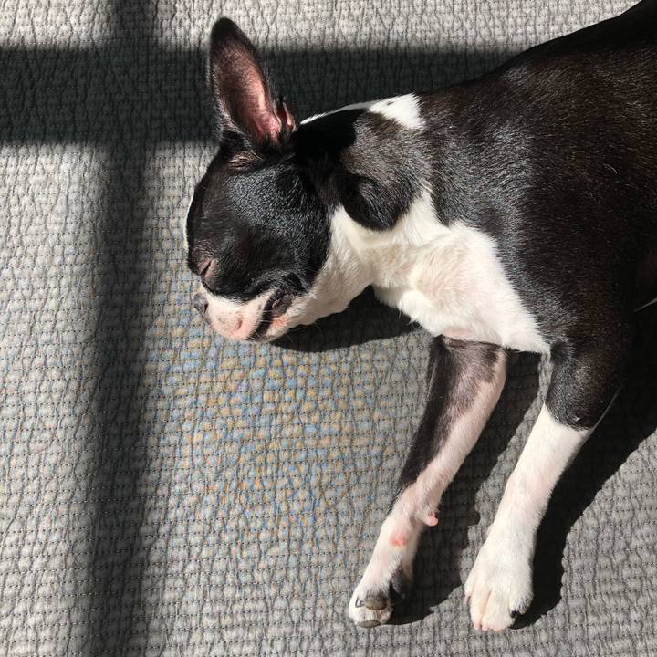 D29f5989 fbc9 4b1a a588 f3fd055414bb 1565482336143