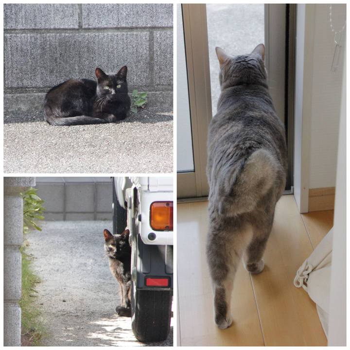 D29f7a12 328e 466f 8968 1f1cf5399afb 1634636485438