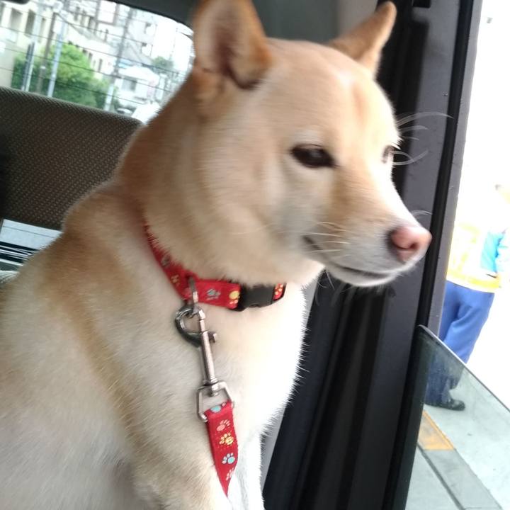 D29fabfd 04fd 47b1 b3d2 48f81e95d7ca 1599910832075