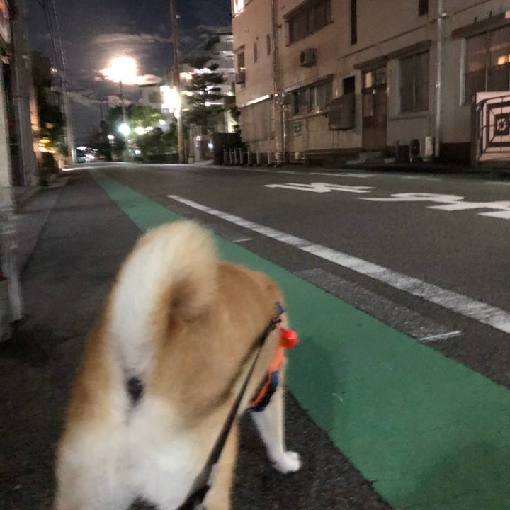 D29fcad3 def2 4060 9f1b bbd655a84d40 1599043792457