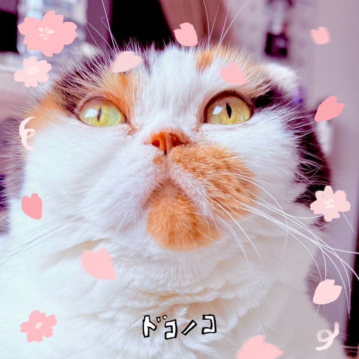 D29fd5c1 3374 4a96 bca4 d5f90dee84cf 1744330348449