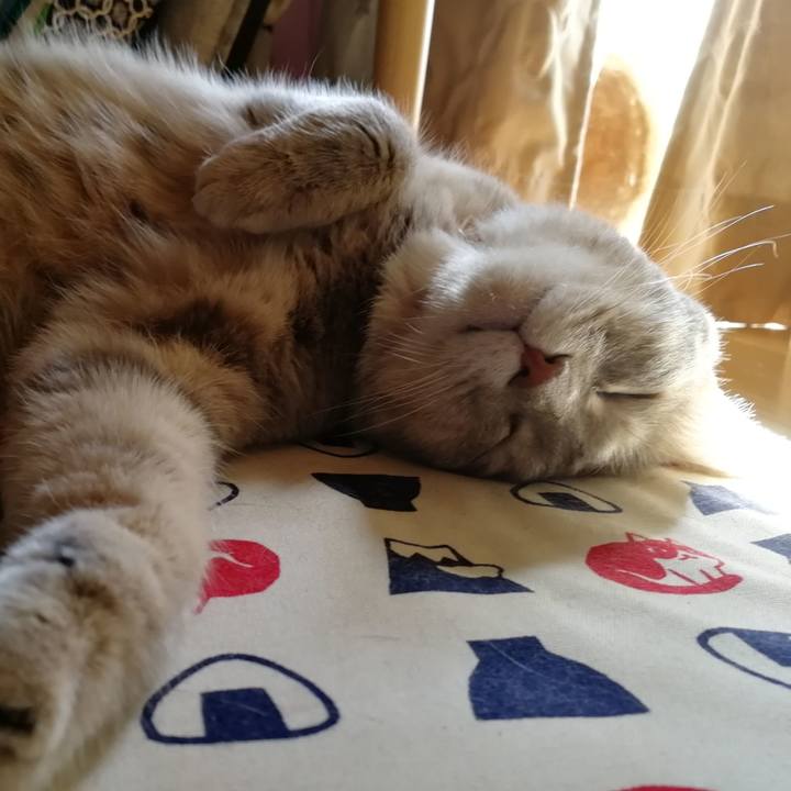 D29fe3d5 25df 4764 a83d e5d932eb7990 1534062083095