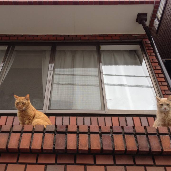 D29ff1c5 de61 4260 9faf 98a6c63cf95f 1559958917647