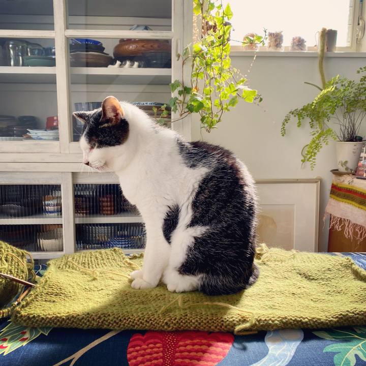 D29ff4ba 601d 4642 9aa5 40323224b5b2 1641709174564