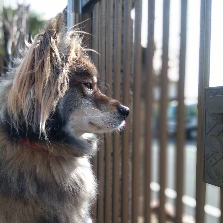 D2a00706 21b0 47a4 bcb0 a93a044b3ac5 1581176945662