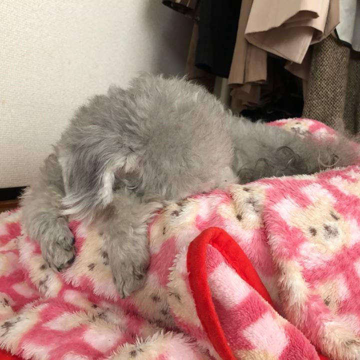 D2a05aa7 6ab9 4bf6 9294 2cf35b7d02a9 1577338086747