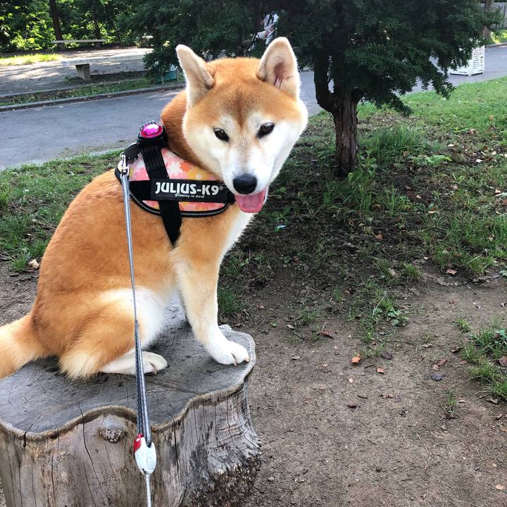 D2a09061 a93e 4aea bbd9 7aa3475187fd 1568099868177