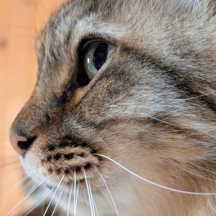 D2a090fe db44 416a 951d 2dc94b79c2fe 1771023806489