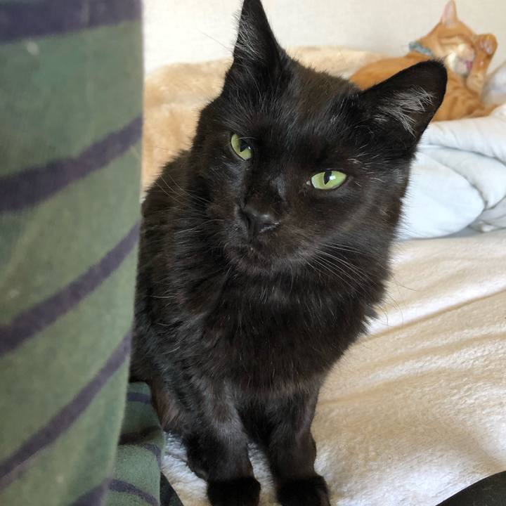 D2a0f772 4dcb 48ea 80f1 0bff59525812 1588394108391