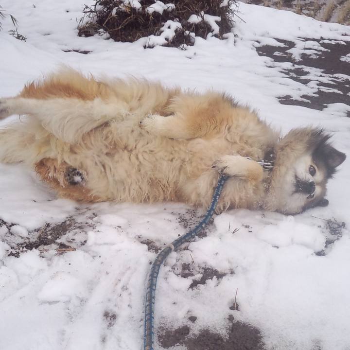 D2a11b27 05e6 4218 9786 7fe52a0bf72b 1549682291785