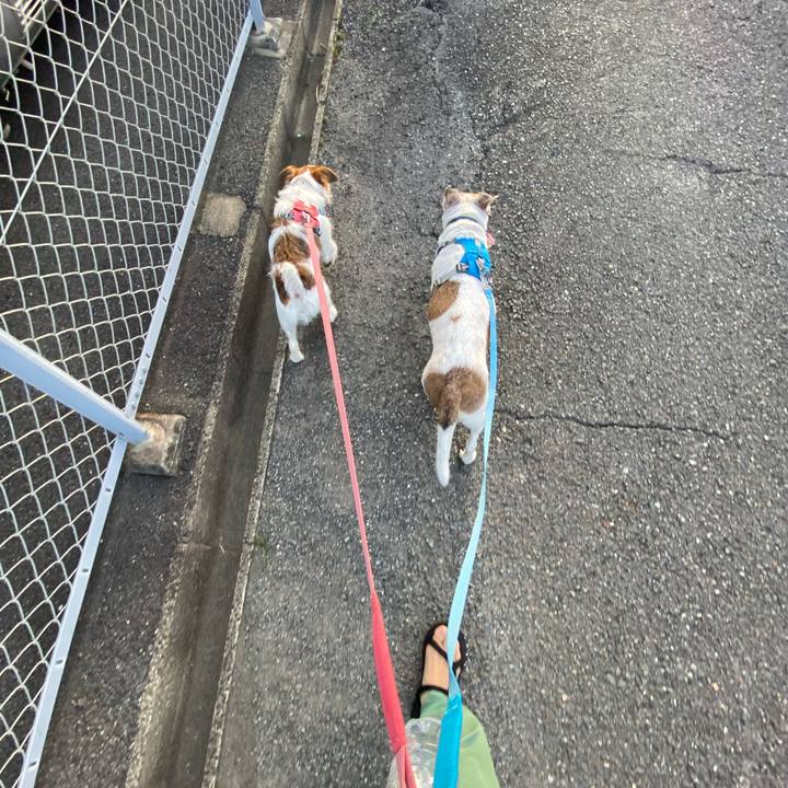 D2a11d4d e133 4f8c 8bad feb4cc455449 1695510423019