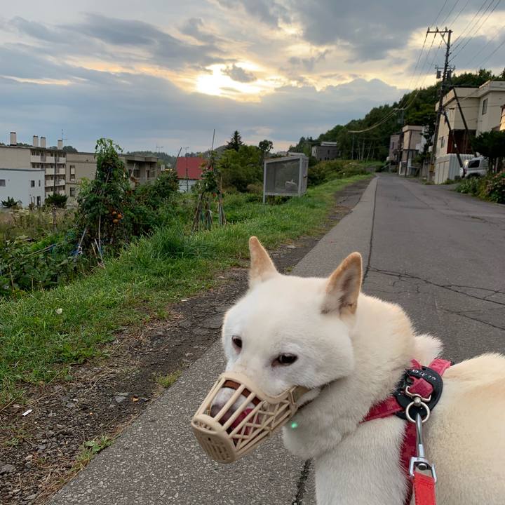 D2a12948 6a17 4a3b 9831 aa7a4c5c8388 1568583849477