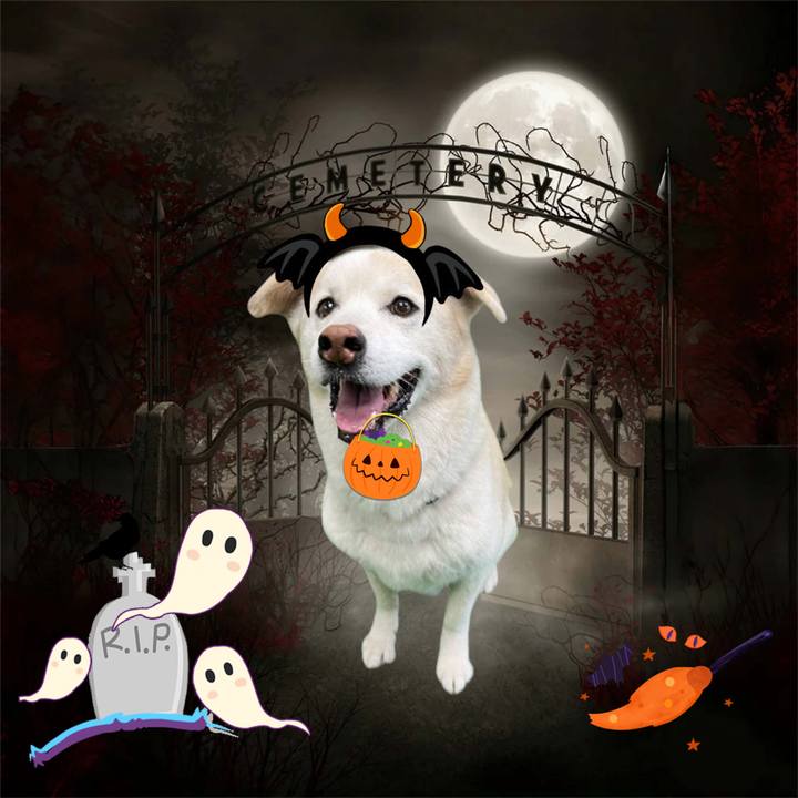 D2a12963 5fbb 495a 9b58 12990f9d7c30 1730363324362