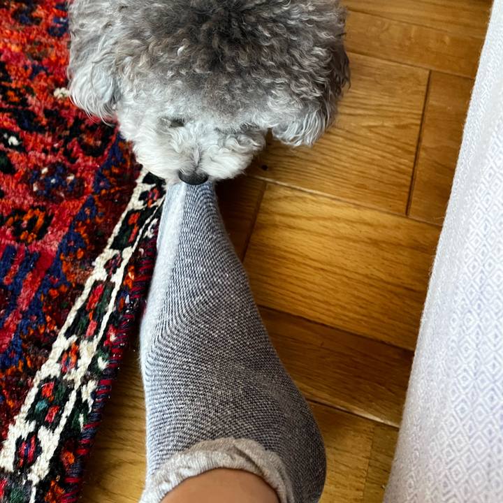 D2a140ba 6c60 43d2 95ae d1527045a190 1763202335976