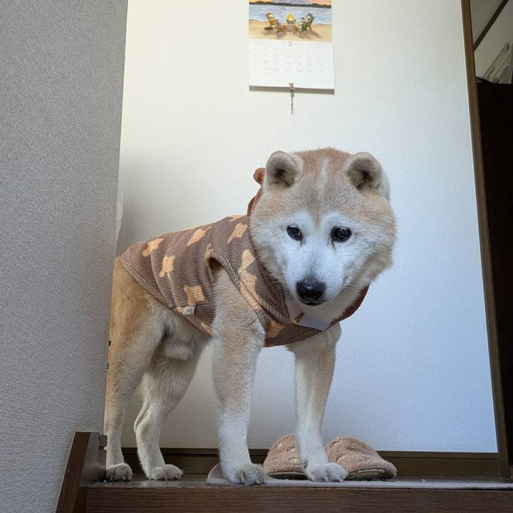 D2a151be 2171 422d bc0a 28a8d2f08d00 1770252183734