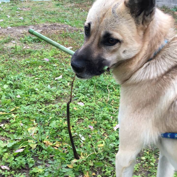 D2a17d36 8fbe 4c86 a040 2c7ad234bdd1 1512048618150