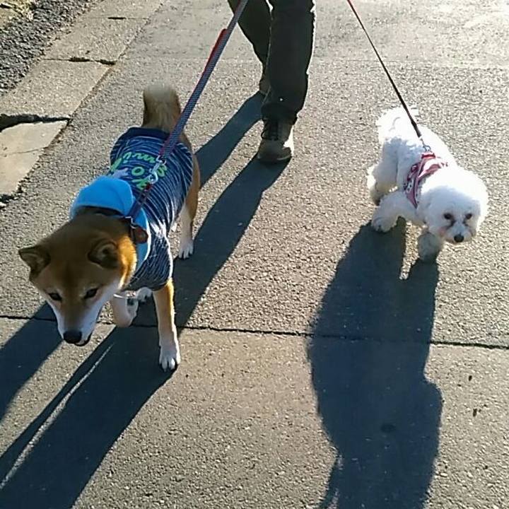 D2a1956a de4f 421d 9a39 0dd59f88a618 1546341062591