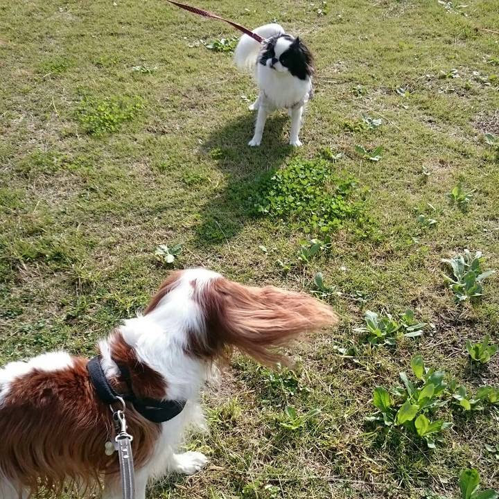 D2a1c5cd 30f6 4dc7 b171 dc0f3a70da56 1541556519836