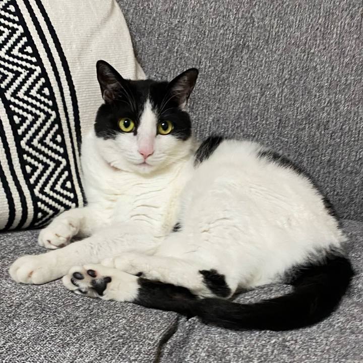 D2a1e553 8e5b 46ae af77 dec574a7e018 1626865463857