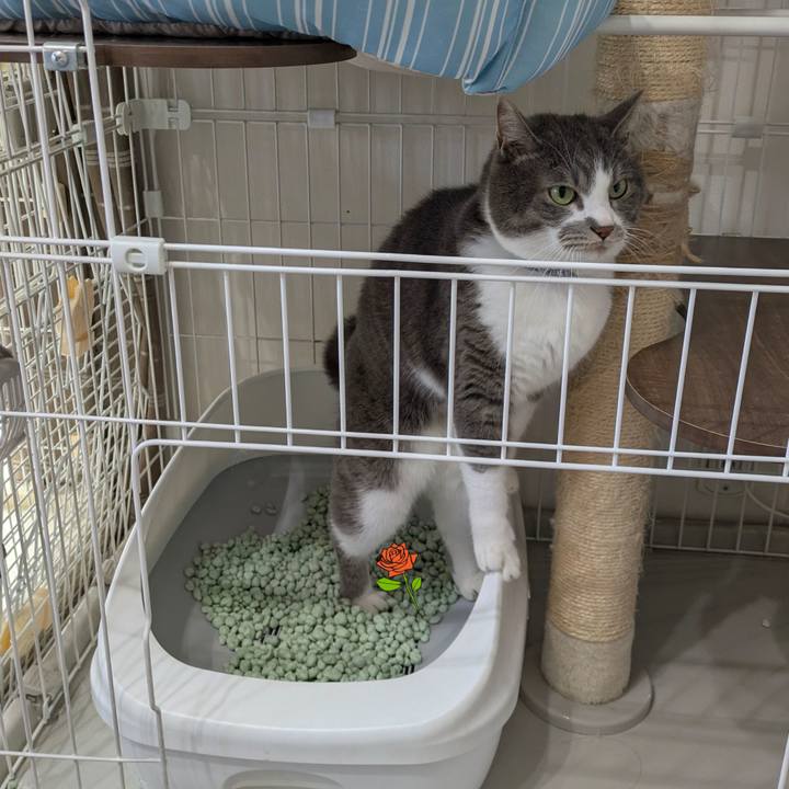 D2a1ff09 04d4 4436 b31a 72f72adc358d 1751021749645