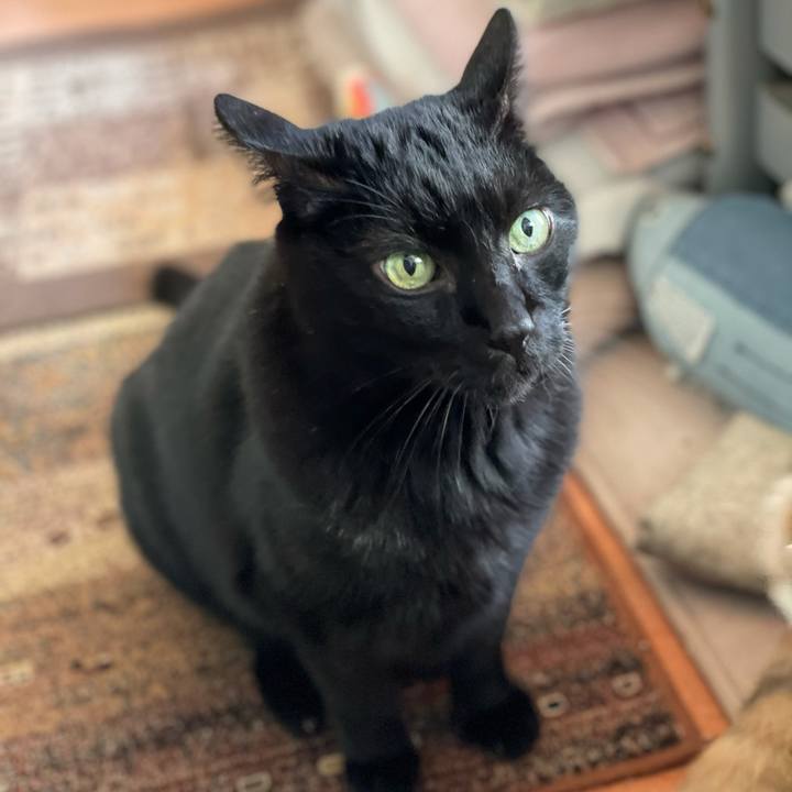 D2a207c3 cb6e 4e0f 9fd0 d04b4d6ee705 1610244063154