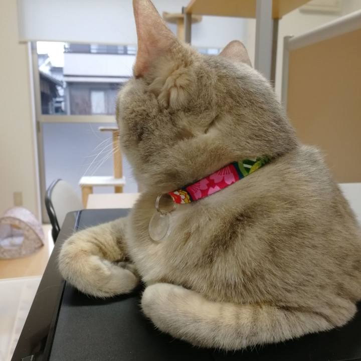 D2a229e2 50ee 476f 8f48 ed539d09c4d4 1549522049627