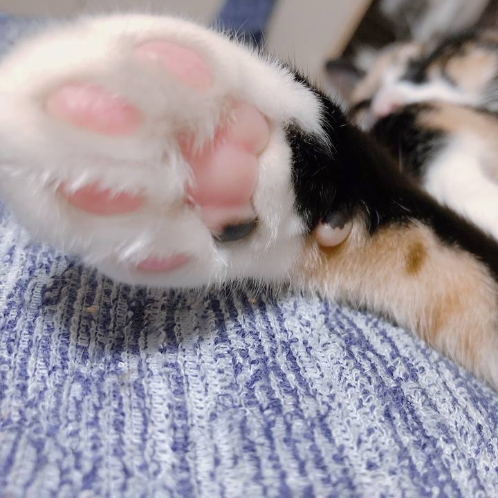 D2a22db6 f21a 4299 b0e6 cb9e104215be 1569061360038