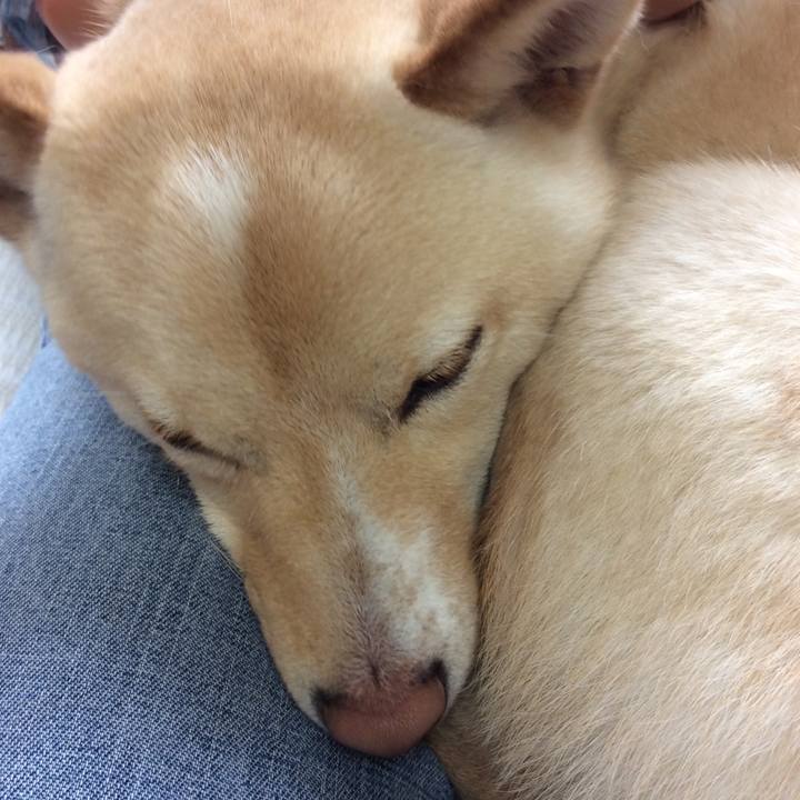 D2a23f15 2e60 455e b6c3 150b4116c91d 1518999955206