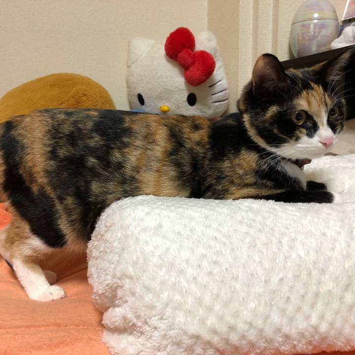 D2a25166 57e4 4057 9dd9 442cc226c4ea 1557234621679