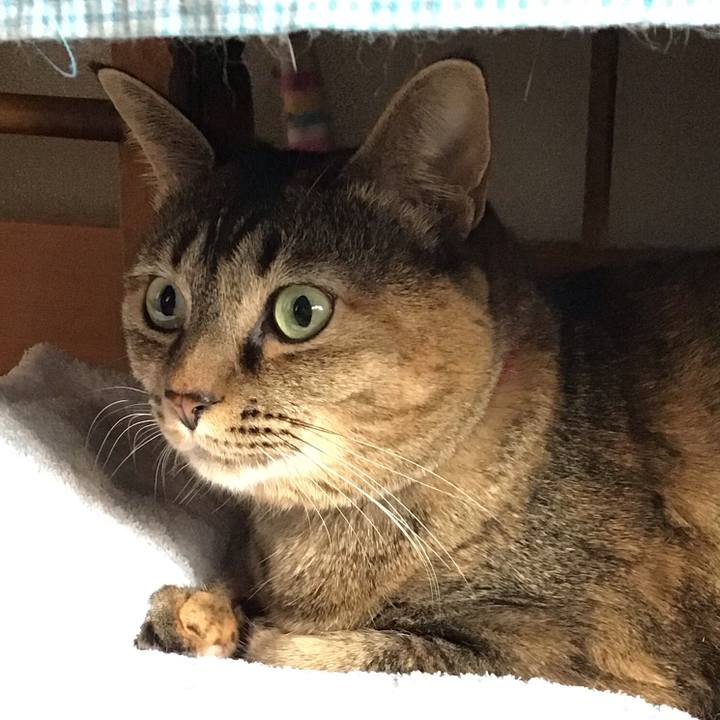 D2a2585e 2482 4e31 894e c5d653f4216b 1671622835516