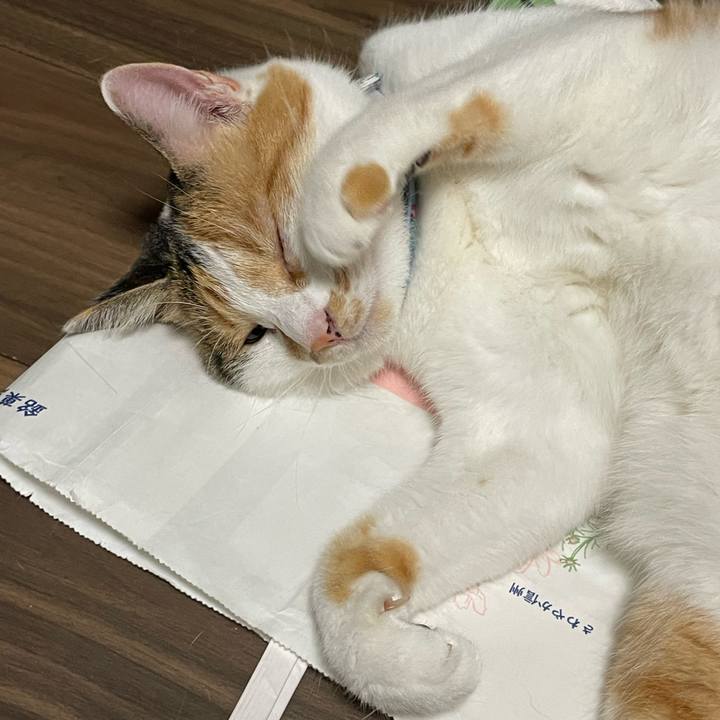 D2a27733 77e2 4303 8da3 82cd9752f3d4 1696217484315