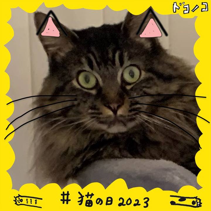 D2a2cb42 5abb 4ff9 ac04 44e43d84ed8c 1677037090929