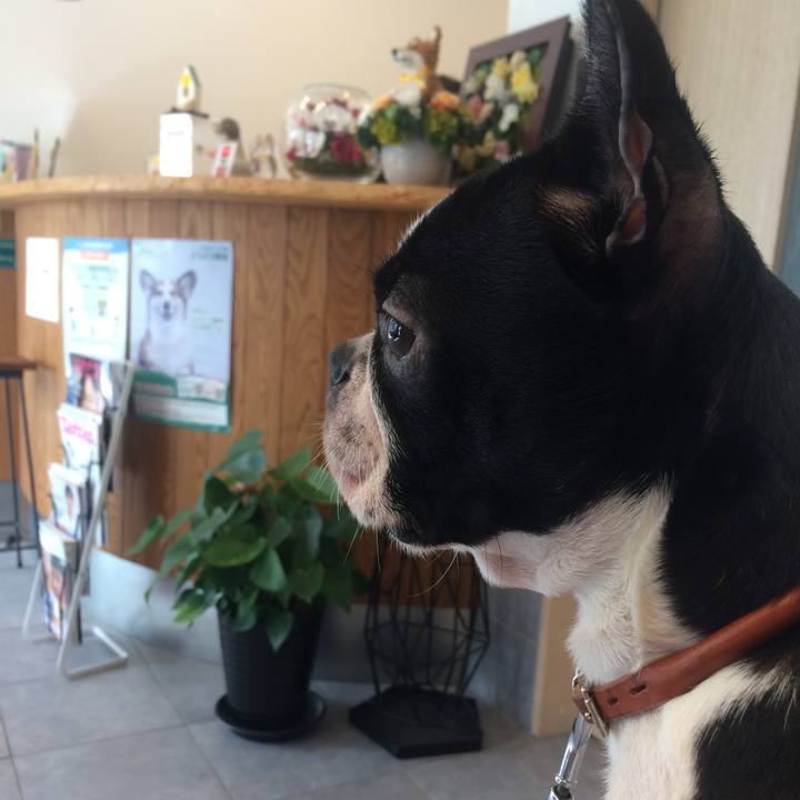 D2a2e10a b99c 49fb 8a1b 989abd6d0f2f 1508902355725