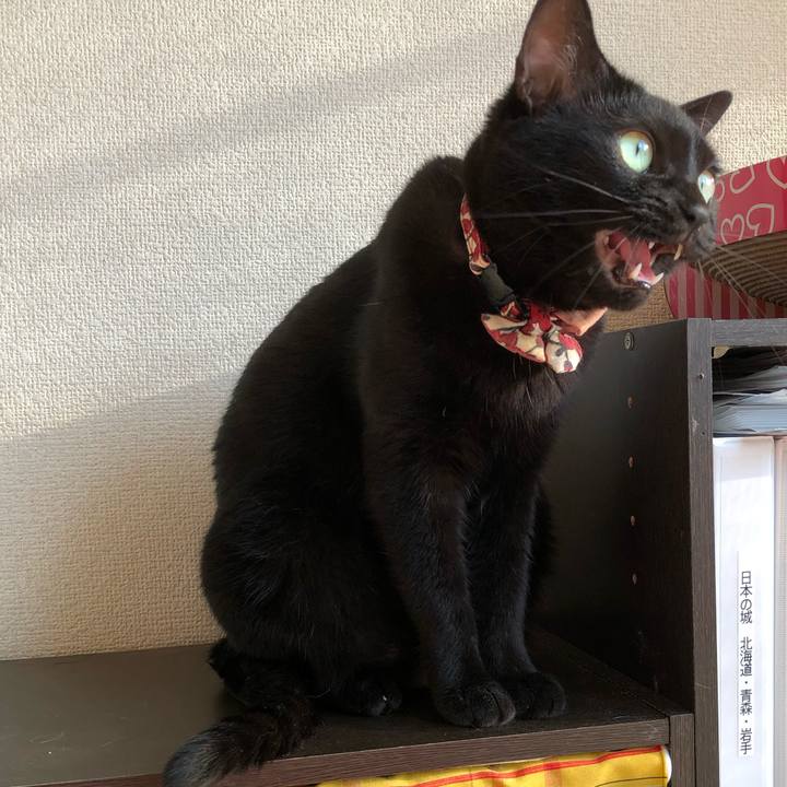 D2a2e4e7 9e75 40b1 9a28 6c1967aeffed 1601420123378