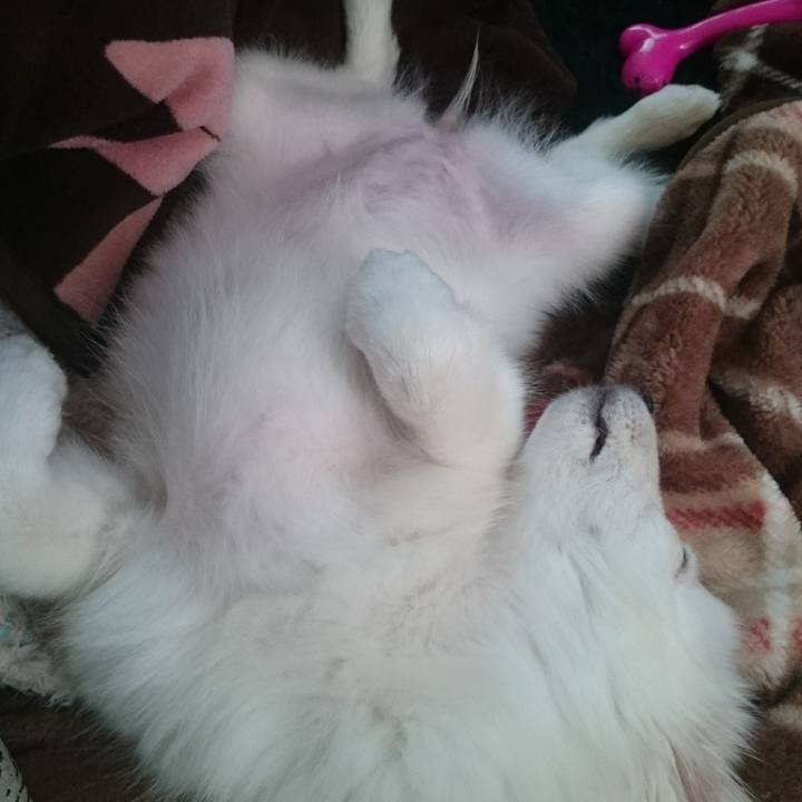 D2a32104 f203 4d63 bc8f c3f59b2fc313 1544772176287