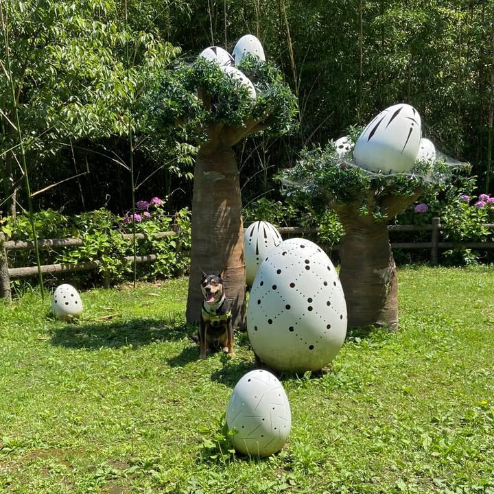 D2a33844 9c16 453a 97e9 325d9a9e3379 1624271777720