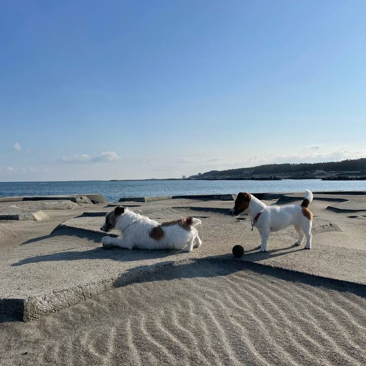 D2a36155 44f8 4fb7 92ea 219f3b50b810 1648082250880