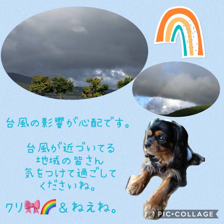 D2a3617f 74dc 4604 9265 082d2e3036f0 1599387854195