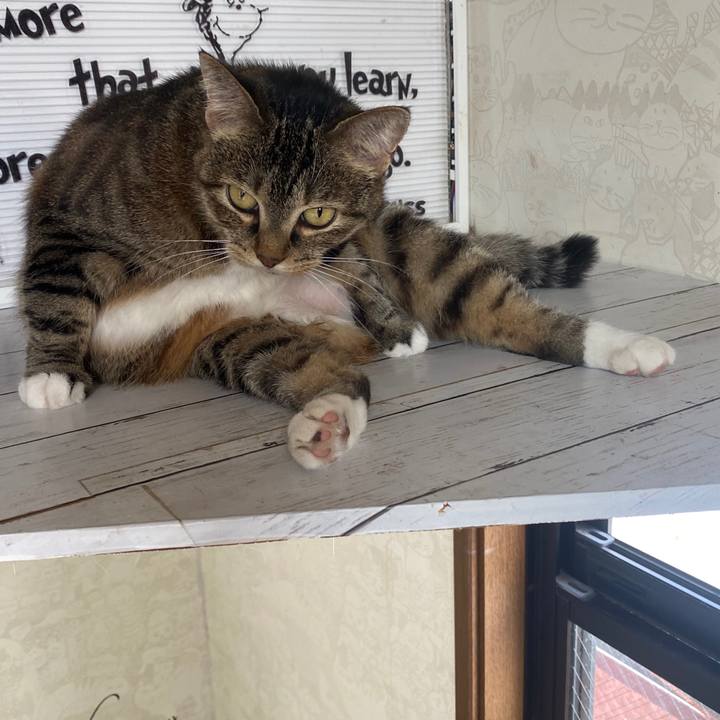 D2a3dc6f 1fba 4409 a270 a4864c3e885c 1598328733624