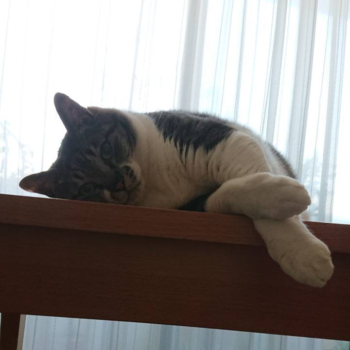 D2a3e924 7f8c 43db 824b 0f607d58bdd9 1558657604126