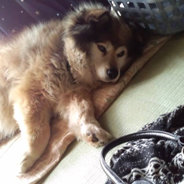 D2a3e96f 0d90 4b55 9288 8f0b05bed17e 1596582133834