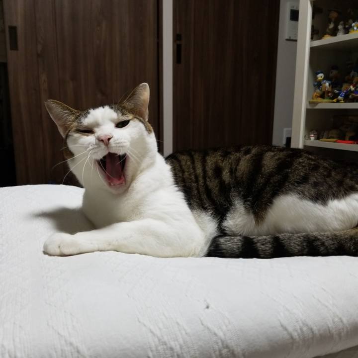 D2a3f82c 9880 4843 a9e5 d4182653dfda 1583321601120