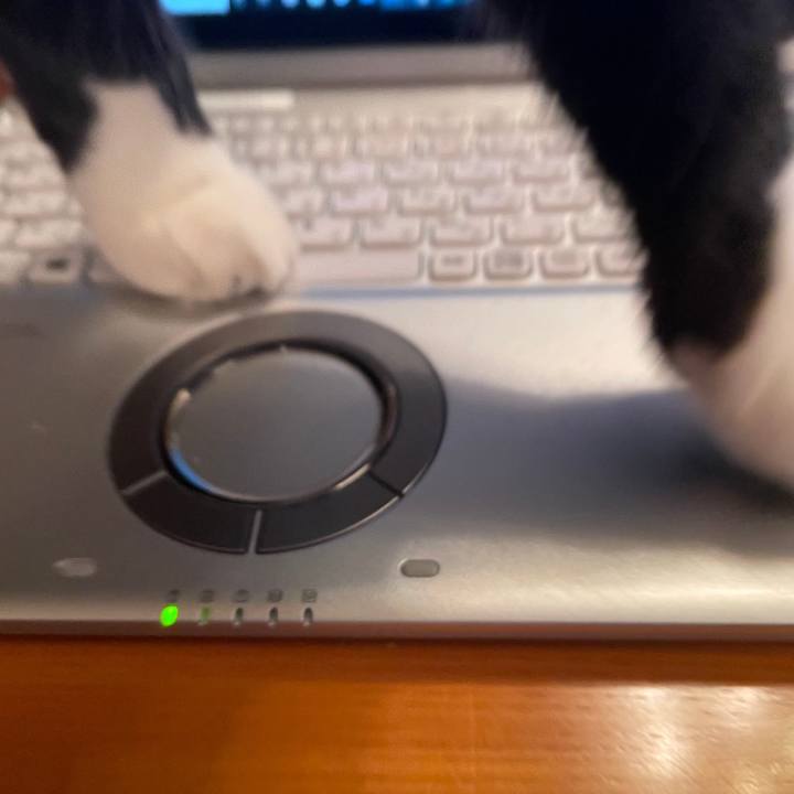 D2a40eff 3c59 42df 9655 b2c8beda9924 1654087460791