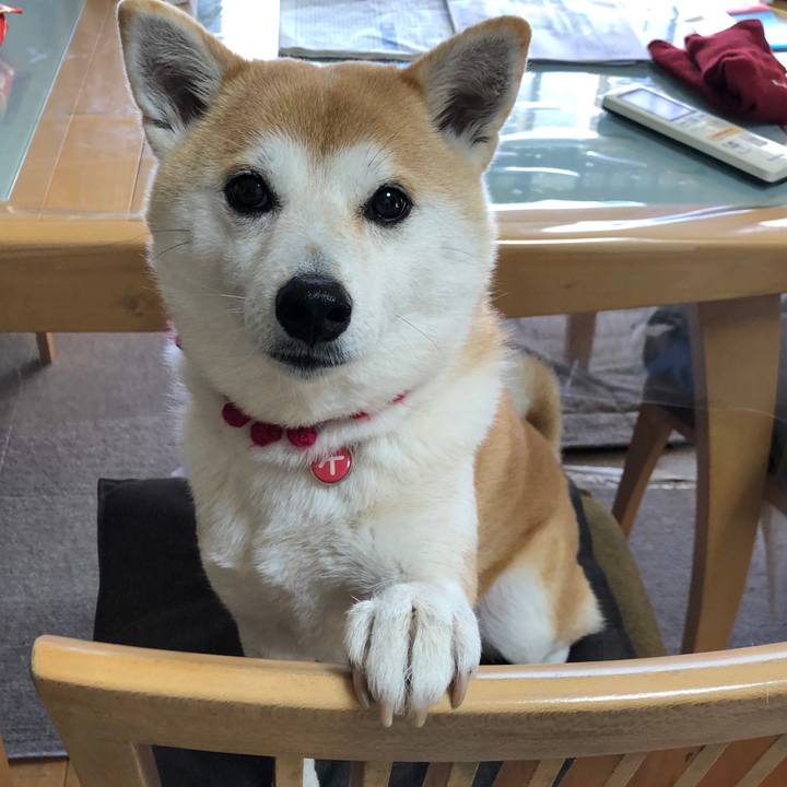 D2a434e6 ee71 4bb9 b3ea fbee3b5938ca 1609406197567